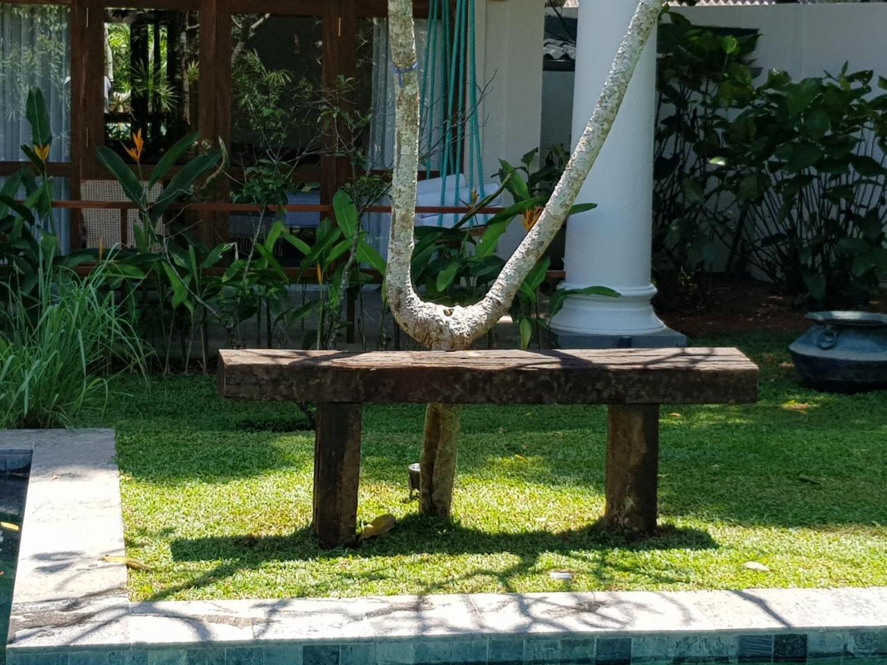 Bilin Tree House Hotel
