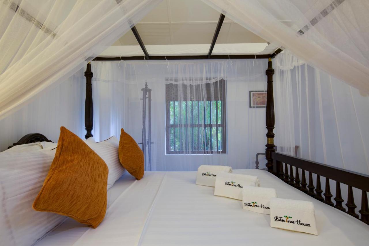 Bilin Tree House 3* Galle