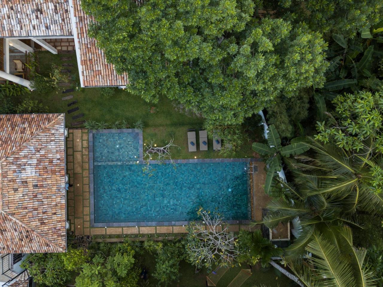 Hotel Bilin Tree House 3*