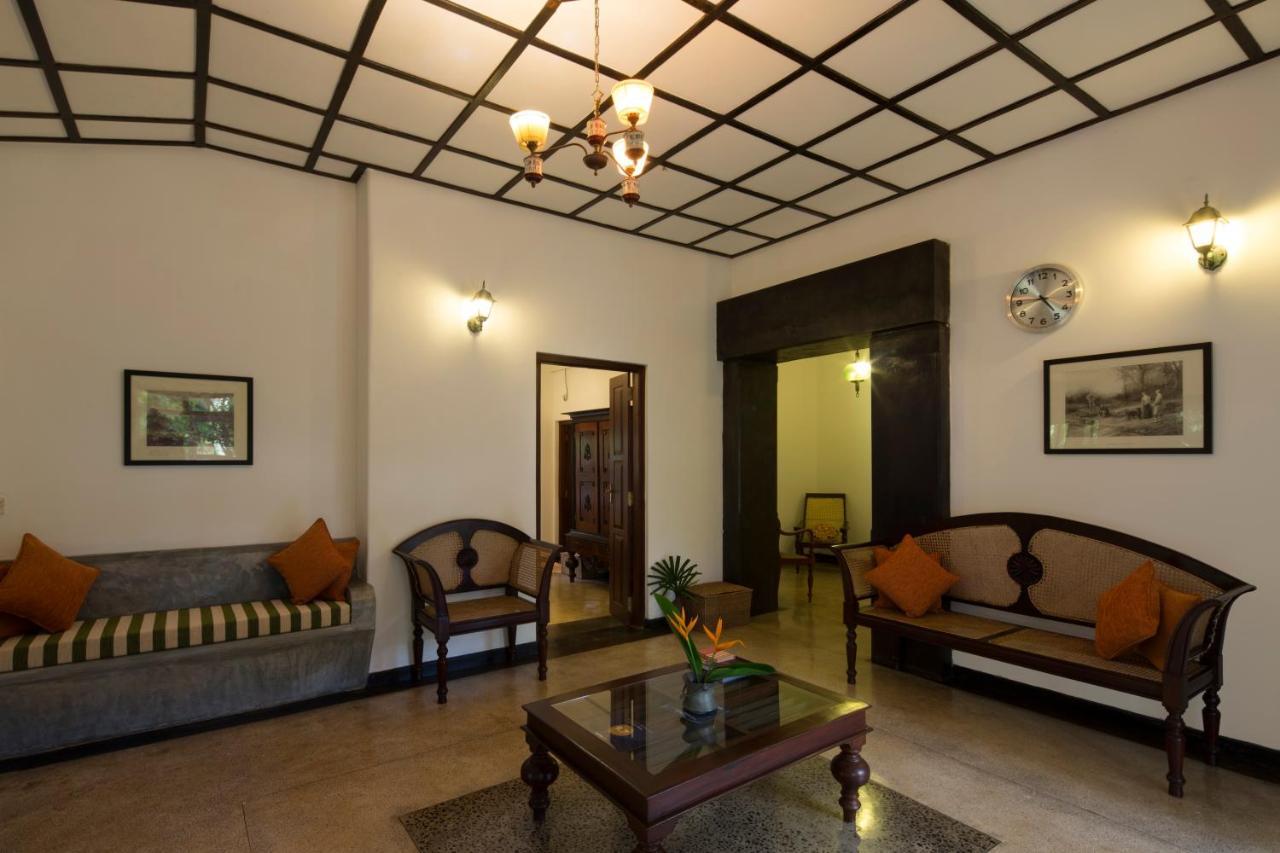 Hotel Bilin Tree House